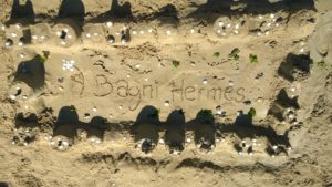 Castelli di sabbia Bagni Hermes Torrette di Fano